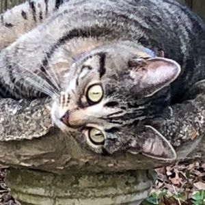 Meet your Posher, Kara